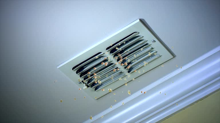 Best Professional Duct Cleaning Services  in Martinsville, NJ